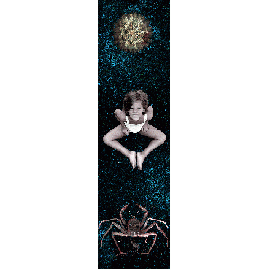 Amore a prima vista - 2004