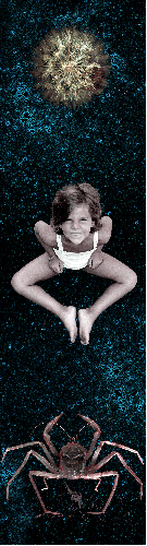 Amore a prima vista - 2004