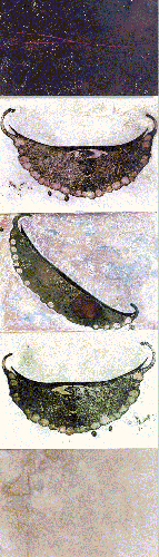 Giarda Intestinalis - 2001