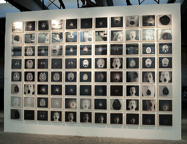 Bugs of the mind - Installazione MACRO Roma