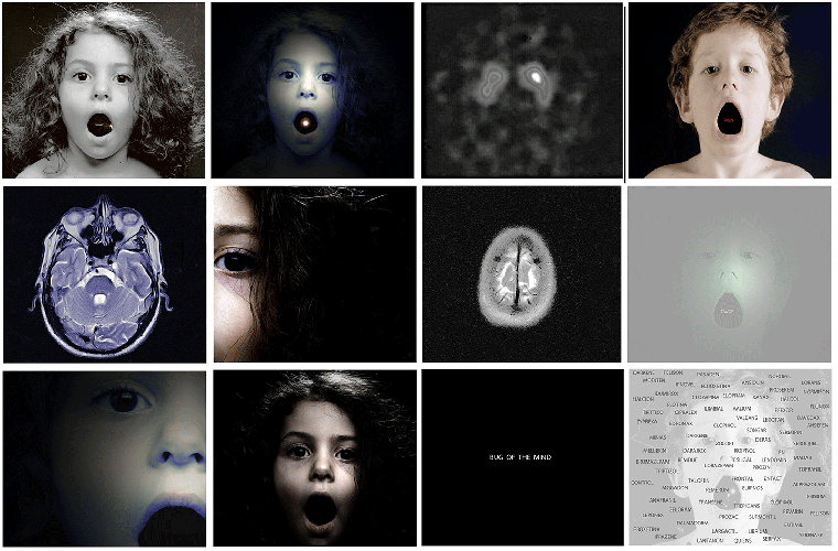 Bug of the mind - 2007 - Particolare