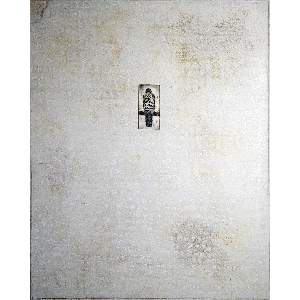 Gheppio delle Mauritius - 1997