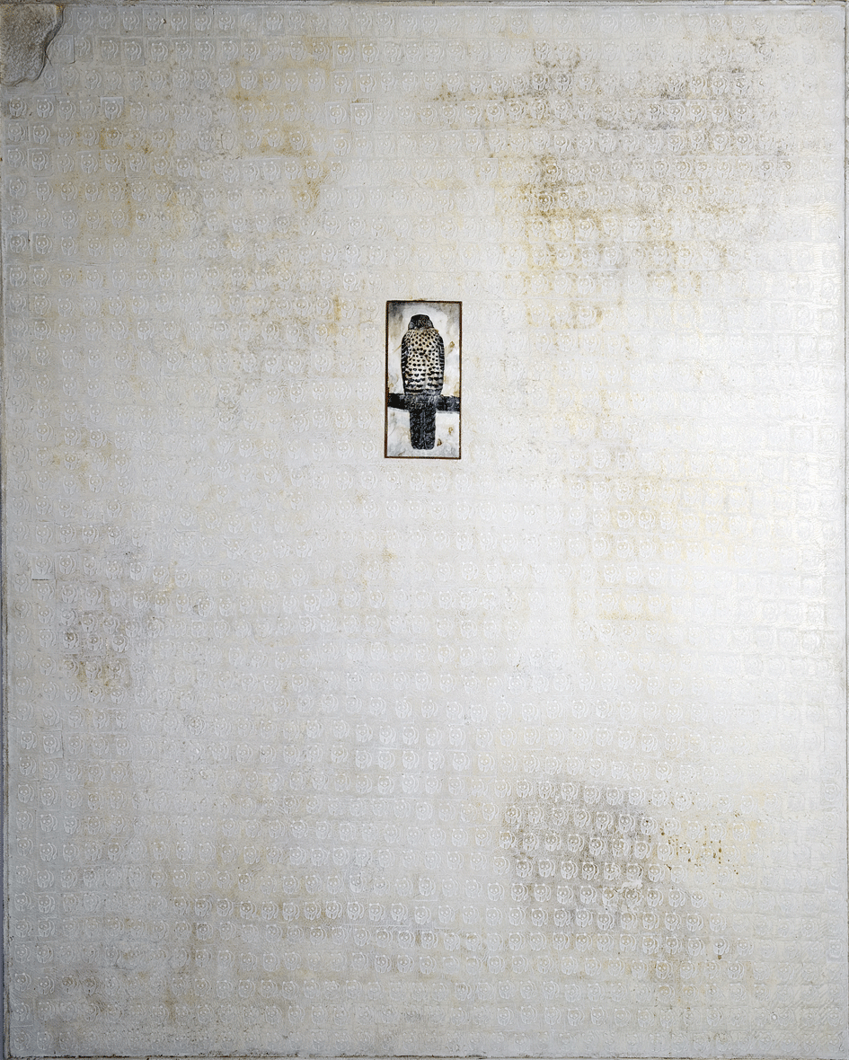 Gheppio delle Mauritius - 1997